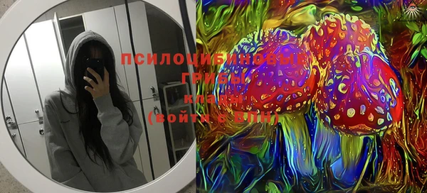 альфа пвп Алексеевка