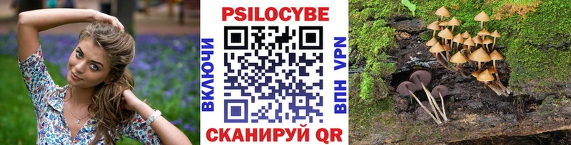 Галлюциногенные грибы Cubensis  OMG ссылка  Макушино  продажа наркотиков 